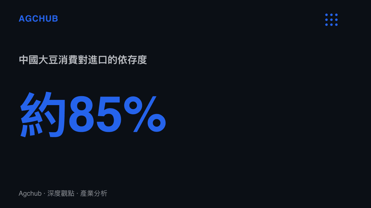 統計圖卡呈現中國大豆消費量約百分之八十五仰賴進口，國產量僅約兩千萬噸、自給率不足兩成