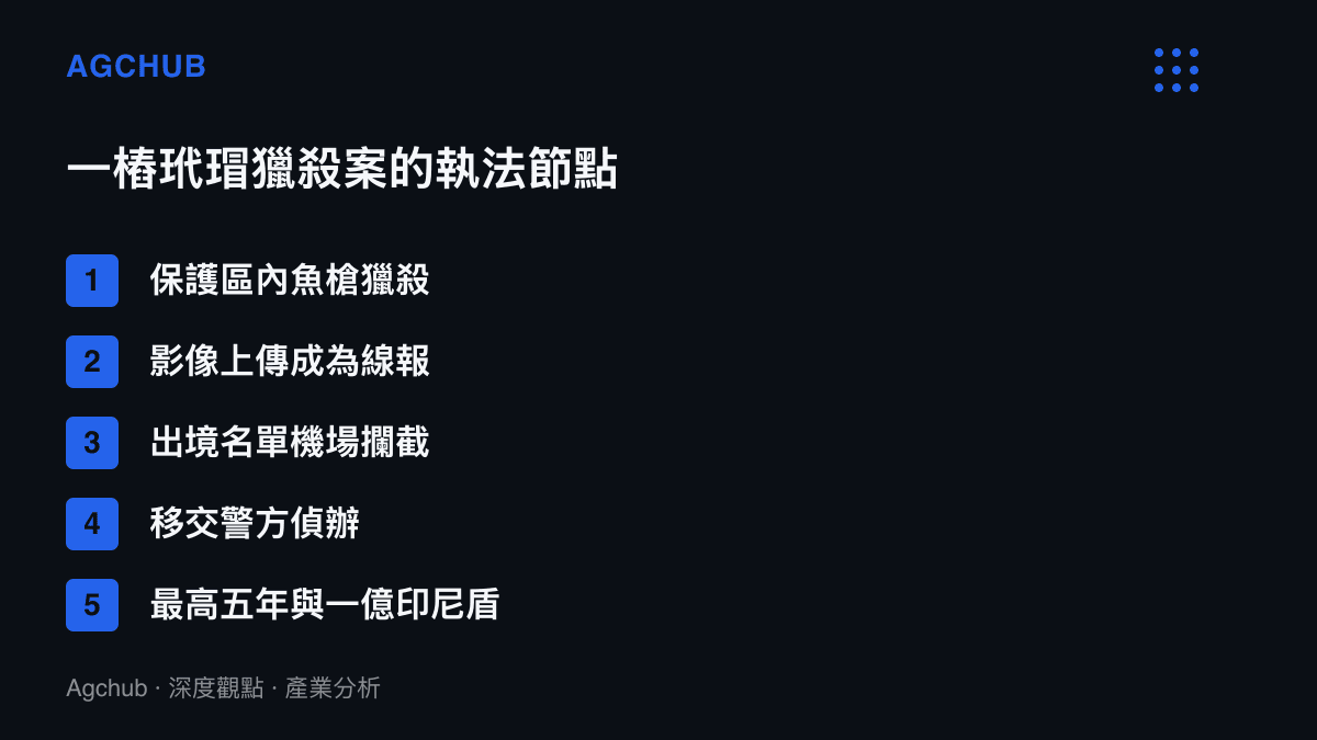清單圖卡列出此案五個執法環節，從四王羣島保護區內的魚槍獵殺、網路影像成為線報、望加錫機場依出境名單攔截、移交警方偵辦，到最高五年徒刑與一億印尼盾罰金的法定上限