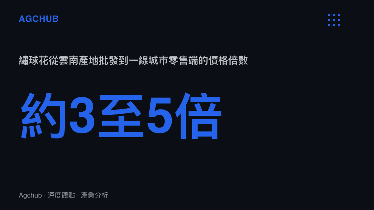 統計圖卡呈現繡球花從雲南產地批發價到一線城市花店零售價，中間約放大三至五倍的價差結構