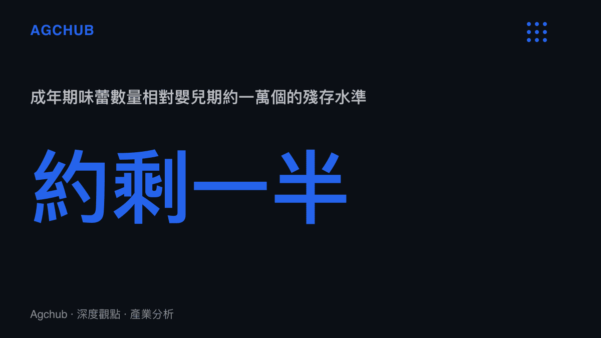 統計圖卡呈現成年期味蕾數量約僅剩嬰兒期一萬個的一半，說明味覺敏感度隨年齡下行讓中年人重新接受芒果的酸甜比