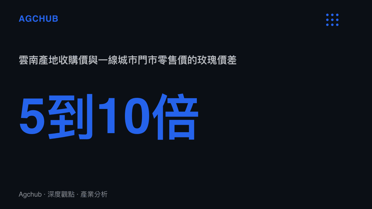 統計圖卡呈現雲南玫瑰產地收購價與一線城市門市零售價之間約五至十倍的價差，溢價由物流、拍賣與零售環節分食