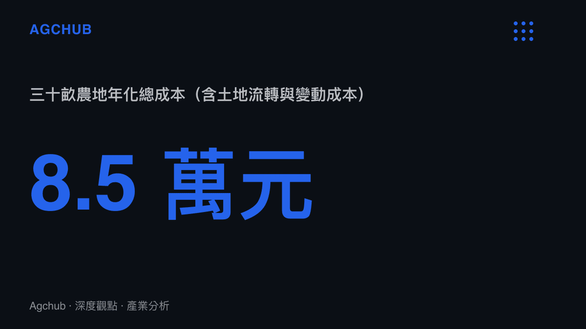 統計圖卡呈現三十畝農地每年需要八點五萬元人民幣的總營運成本，這還未計入返鄉者的人工薪資
