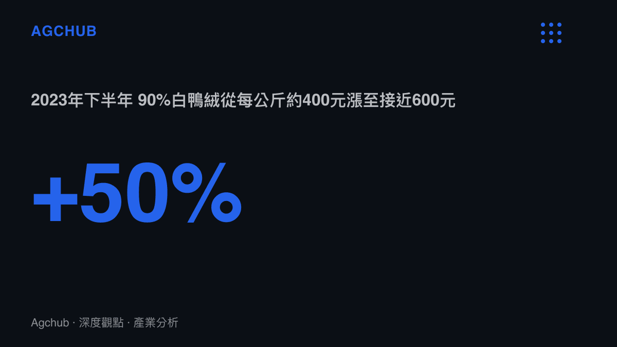 統計圖卡呈現2023年下半年90%白鴨絨行情從每公斤約400元上漲至接近600元、漲幅約五成的價格走勢