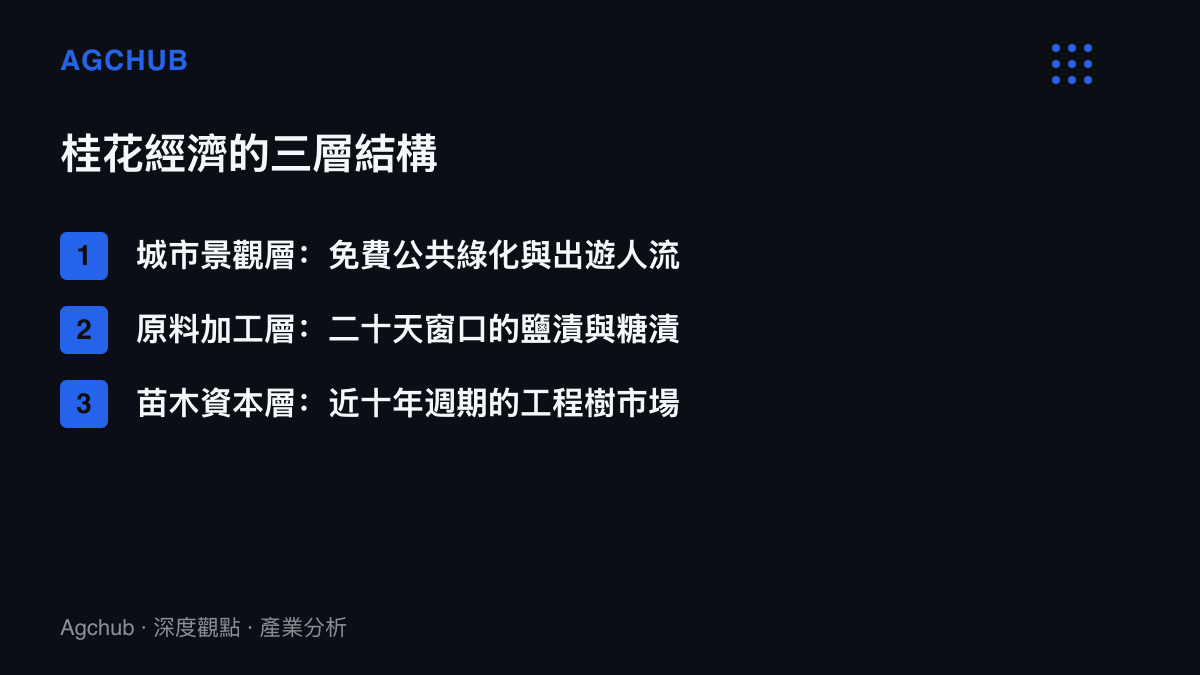清單圖列出滿城桂花香背後的三層市場結構，分別是免費開放的城市景觀與出遊人流、以罈裝鹽漬與糖漬計價的加工原料層，以及生長週期近十年的工程苗木市場