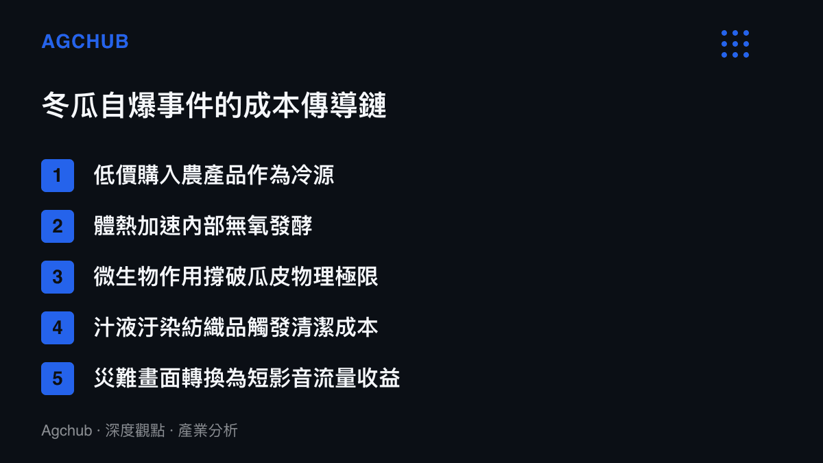 清單圖卡依序列出冬瓜從被當作降溫工具到自爆引發清潔成本，最終轉換為網路流量的完整傳導過程